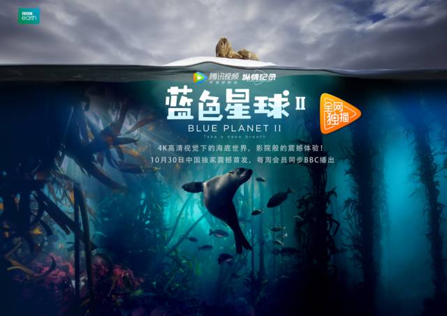 看到女婿的东西好尴尬剧照3